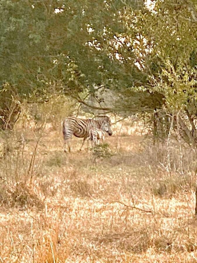 Hideaways Lazuli Bush Lodge, Hluhluwe Esterno foto