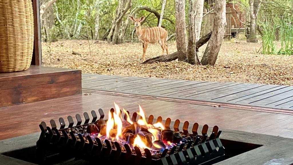Hideaways Lazuli Bush Lodge, Hluhluwe Esterno foto