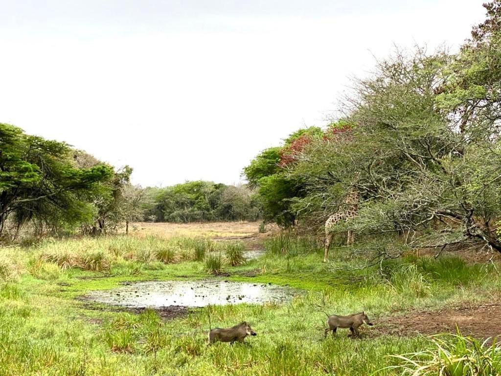 Hideaways Lazuli Bush Lodge, Hluhluwe Esterno foto
