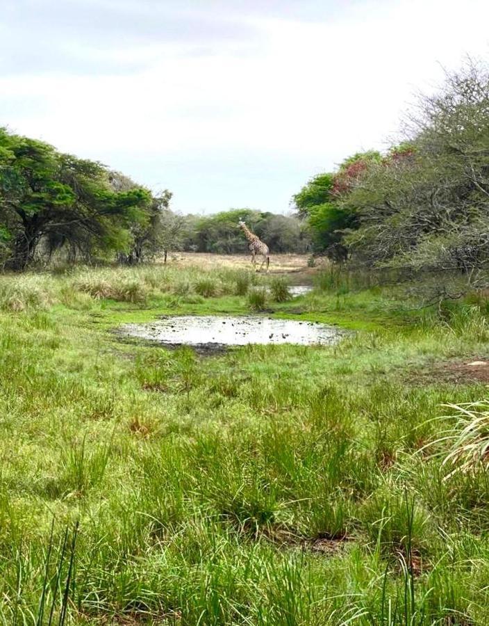 Hideaways Lazuli Bush Lodge, Hluhluwe Esterno foto